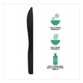 Disposable Knives | Eco-Products EP-S111 6 in. 100% Recycled Content Knife (1000/Carton) image number 2