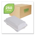 Food Containers & Lids | Eco-Products EP-HC96NFA Vanguard 9 in. x 6 in. x 3 in. 1-Compartment Renewable and Compostable Sugarcane Clamshells - White (250/Carton) image number 1