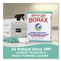 Laundry Detergents | Dial DIA 00201 4 lb Box 20 Mule Team Borax Powdered Laundry Booster (6/Carton) image number 2
