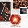 Personal Shampoos, Conditioners, & Body Washes | Guild+Pepper 100302 12.2 oz Shampoo - Warm Oak Scent (12/Carton) image number 3