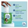 Facial Tissues | Puffs 39383 2-Ply Plus Lotion Facial Tissue - White (24/Carton) image number 1