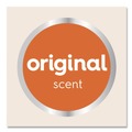 Soap Refills | Dial Professional 16670EA 1.2 Liter Antibacterial Foaming Hand Wash Refill for FIT Manual Dispenser - Original Scent image number 4
