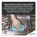 Industrial Cleaning Products | Professional EASY-OFF 62338-85260 Fume Free Max Oven Cleaner, Foam, Lemon, 24 Oz Aerosol Spray, 6/carton image number 8