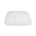 Food Containers & Lids | World Centric TRLCSBB 12.1 in. x 9.8 in. x 0.8 in. Plastic Lids for Fiber Bento Box Containers - Clear (300/Carton) image number 0