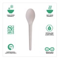 Disposable Spoons | Eco-Products EP-S013 6 in. Plantware Renewable and Compostable Spoon (1000/Carton) image number 3