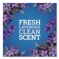 All Purpose Cleaners & Degreasers | Pine-Sol 60608EA CloroxPro 80 oz. Concentrated Multi-Surface Cleaner - Lavender Clean Scent image number 8