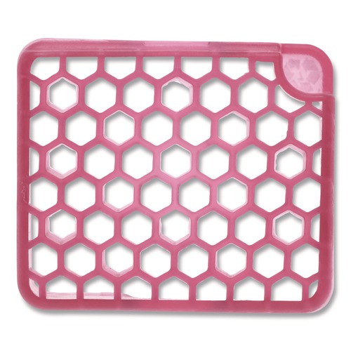 Metered Dispenser Refills | Fresh Products MYFF006I036M01 myfresh Refill - Spiced Apple (6/Box) image number 0