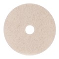 Floor Pads-Cleaning, Buffing & Polishing | Boardwalk BWK4017NHE 17 in. Diameter Natural Hog Hair Burnishing Floor Pads - Tan (5/Carton) image number 1
