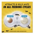 Insecticides | Combat 23400 07172 Max 2-in-1 Ant Bait (8/Carton) image number 7