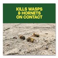 Insecticides | Raid 377651 14-Ounce Wasp and Hornet Killer Spray (12/Carton) image number 2