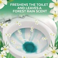 Toilet Bowl Cleaners | LYSOL Brand 19200-98015 24 oz. Cling and Fresh Toilet Bowl Cleaner - Forest Rain (4/Carton) image number 7