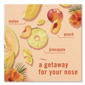 Air Fresheners & Odor Eliminators | Febreze 80816818 8.8 oz. Aerosol Spray AIR - Hawaiian Aloha (3 Packs/Carton) image number 2