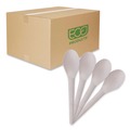 Disposable Spoons | Eco-Products EP-S013 6 in. Plantware Renewable and Compostable Spoon (1000/Carton) image number 0