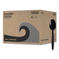 Disposable Spoons | Boardwalk BWKTSHWPPBIW Heavyweight Wrapped Polypropylene Teapoons - Black (1000/Carton) image number 0