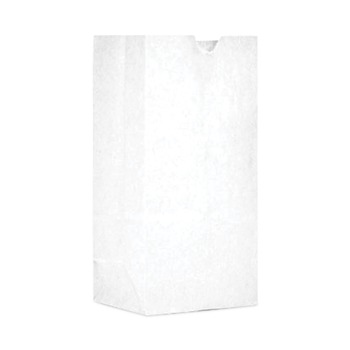 GROCERY BAGS | Ross & Wallace Paper Products 05007500BX 7.5 in. x 10.5 in. #30 Size Grocery Paper Bags - White (500/Carton)