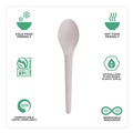 Disposable Spoons | Eco-Products EP-S013 Plantware 6 in. Renewable and Compostable Spoon (1000/Carton) image number 7