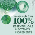 Toilet Bowl Cleaners | Seventh Generation 10732913451668 24 oz. Bottle Toilet Bowl Cleaner - Fresh Mint Scent (4/Carton) image number 5