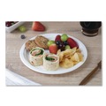 Perforated Roll & Hand Towels | SCT 18140WPF ChampWare Molded Fiber Tableware, Molded Fiber Plate, 9-in dia, White, 125 Plates/Sleeve, 4 Sleeves/Carton image number 3
