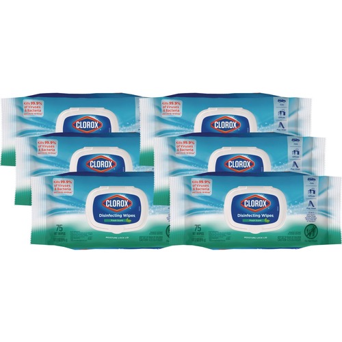 Cleaning Cloths & Wipes | Clorox 31430 8 in. x 7 in. 1-Ply Flex Pack Disinfecting Cleaning Wipes - Fresh Scent White (6/Carton) image number 0