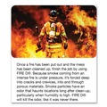 Air Fresheners & Odor Eliminators | Big D Industries 20200 5 oz Fire D One Shot Aerosol (12/Carton) image number 1