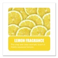 Air Fresheners & Odor Eliminators | Big D Industries 150000 Enzym D 1-Gal. Digester Liquid Deodorant - Lemon (4/Carton) image number 1