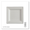 Perforated Roll & Hand Towels | Eco-Products EP-P021NFA 6 x 6 Vanguard Renewable and Compostable Sugarcane Plates - White (500/Carton) image number 2