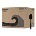 Disposable Spoons | Boardwalk BWKTEAHWPPBLA Heavyweight Polypropylene Teapoons - Black (1000/Carton) image number 0