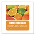 Disinfecting & Cleaning Solutions | Big D Industries 33700 16.5 oz PHENO D Plus Aerosol Disinfectant/Deodorizer - Citrus Scent (12/Carton) image number 3