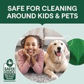 Toilet Bowl Cleaners | Seventh Generation 10732913451668 24 oz. Bottle Toilet Bowl Cleaner - Fresh Mint Scent (4/Carton) image number 7