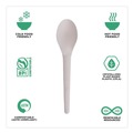 Disposable Spoons | Eco-Products EP-S013-W Plantware 6 in. Spoon Compostable Cutlery - White (1000/Carton) image number 6