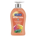 Hand Soaps | Softsoap US03562A 11.25 oz. Pump Bottle Antibacterial Hand Soap - Crisp Clean Scent image number 0