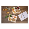 Perforated Roll & Hand Towels | Pactiv Corp. MC58000SBB Compostable Fiber Blend School Lunch Tray, 10 x 8 x 1, White, 240/Carton image number 8