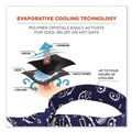 Head & Face Protection | Ergodyne 12306 Chill-Its 6700 One Size Fits Most Cooling Bandana Polymer Tie Headband - Navy Western image number 1