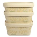 Food Containers & Lids | World Centric CT-NT-16 16 oz 4.7 in. x 6.8 in. x 1.6 in. Sugarcane No Tree Rectangular Containers - Natural (300/Carton) image number 0