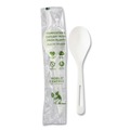 Disposable Spoons | World Centric SO-PS-I TPLA Compostable Cutlery Soup Spoon - White (750/Carton) image number 0