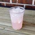 Cups | Boardwalk BWKPET10 10 oz. PET Cold Cups - Clear (1000/Carton) image number 9
