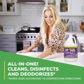 Disinfecting & Cleaning Solutions | Simple Green 2810000401128 1 gal. Bottle Clean Finish Disinfectant Cleaner - Herbal (4/Carton) image number 3