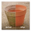 Bleach | Clorox CLO32438 CloroxPro 81 oz. Bottle Results Concentrated Outdoor Bleach (6/Carton) image number 5