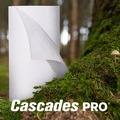 Perforated Roll & Hand Towels | Cascades PRO K250 8 in. x 11 in. 2-Ply Select Kitchen Roll Towels (12/Carton) image number 7