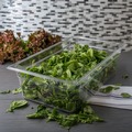 Food Storage Containers & Lids | Carlisle 10202B07 19.4 qt 12.5 in. x 20.75 in. x 6 in. StorPlus Polycarbonate Food Pan - Clear image number 3