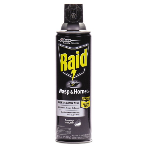 Insect Control Products | Raid 377651 14 oz Wasp and Hornet Killer Aerosol Spray image number 0
