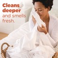 Laundry Detergents | Tide 80762743 132 oz HE Liquid Laundry Detergent - Original Scent (4/Carton) image number 6