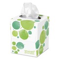 Facial Tissues | Seventh Generation SEV 13719 2-Ply 100 Percent Recycled Facial Tissue (36/Carton) image number 0