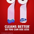 Dusting Wipes | Charmin 80730324 2-Ply Septic Safe Ultra Strong Bathroom Tissue - White (8/Carton) image number 10