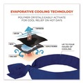 Head & Face Protection | Ergodyne 12307 Chill-Its 6700 One Size Fits Most Cooling Bandana Polymer Tie Headband - Solid Blue image number 1
