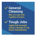 All Purpose Cleaners & Degreasers | Clorox 60615CT 175 oz. Bottle CloroxPro Fraganzia Multi-Purpose Cleaner - Citrus Blossom Scent (3/Carton) image number 9