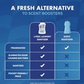 Laundry Detergents | LYSOL Brand 19200-56374 21 oz. Bottle Laundry Sanitizer - Crisp Linen Scent (6/Carton) image number 3