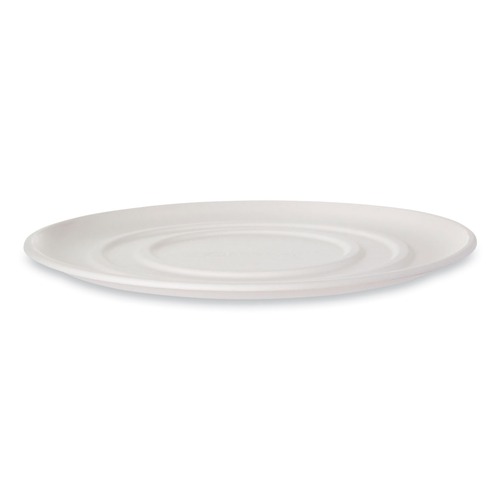 Food Containers & Lids | Eco-Products EP-SCPTR16 16 in. x 16 in. x 0.2 in. Sugarcane WorldView Molded Fiber Pizza Trays - White (50/Carton) image number 0