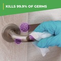 Disinfecting & Cleaning Solutions | Simple Green 2810000401128 1 gal. Bottle Clean Finish Disinfectant Cleaner - Herbal (4/Carton) image number 7