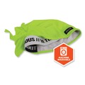 Head & Face Protection | Ergodyne 12476 Chill-Its 6615 One Size Fits Most High-Performance Bandana Doo Rag with Terry Cloth Sweatband - Lime image number 5